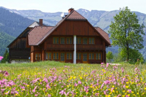 Гостиница Appartements Zettler  Доннерсбахвальд